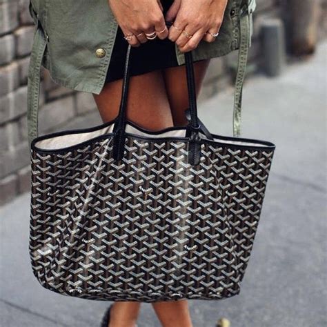 Common Features of Goyard