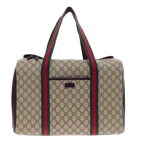 Gucci Pet Carrier Features