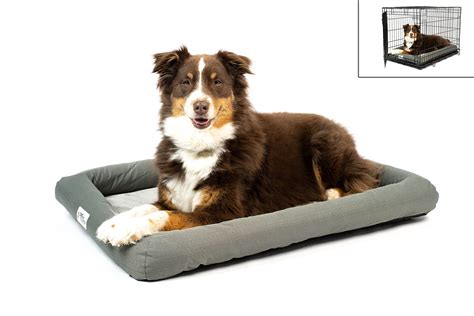 How To Find Out That Your PetFusion Pet Bed Is Fake?