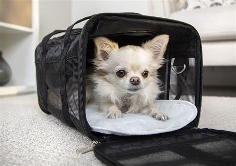 Sherpa Pet Carrier Material