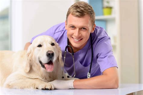 How can you determine if your Vet’s Best pet health products are real?