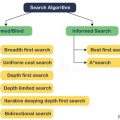 How Do Search Algorithms Work?