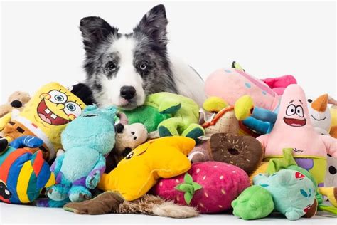 Authorized Pet Toy Retailers