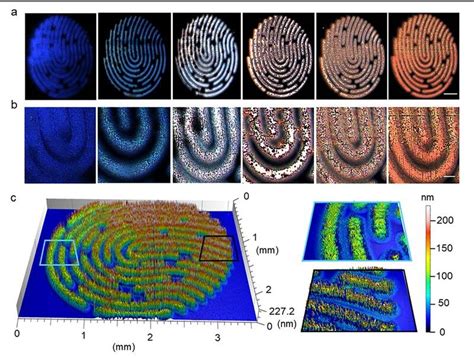 Collaboration in Anti-Counterfeiting