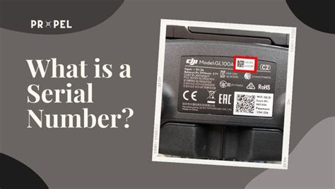 Importance of Serial Numbers