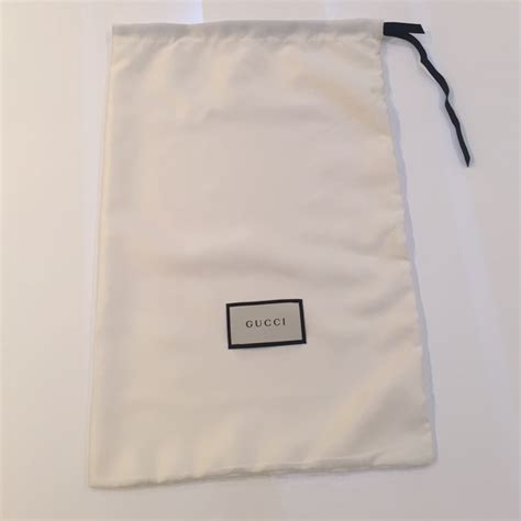 Luxury accessory in dust bag