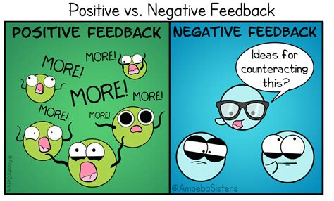 Positive and Negative Feedback Comparison