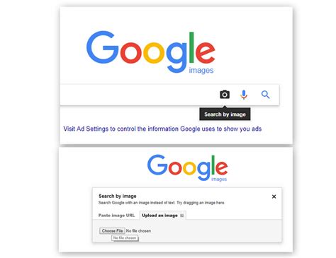 Reverse Image Search