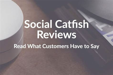 Social Catfish Verification Tool