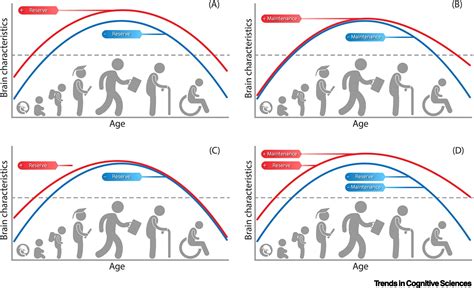 Trend Lifespan