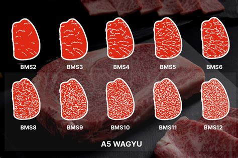 Wagyu Beef Marbling