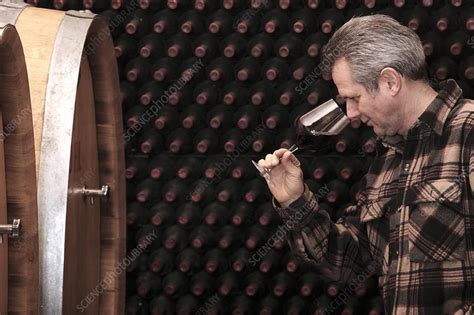 Wine Inspection