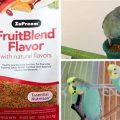 Check If ZuPreem Conure Blend Is Real