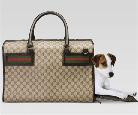 Gucci Pet Carrier Backpack