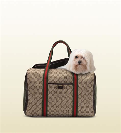 Gucci Pet Carrier Hard-Sided