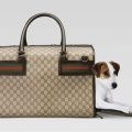 Gucci Pet Carrier