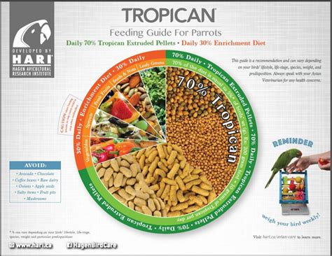 How To Check Authentic Lafeber Parrot Nutrients