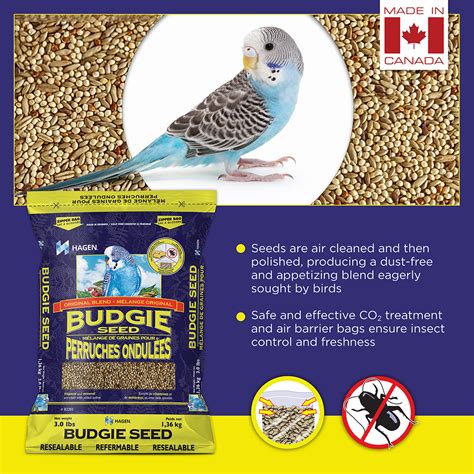 How To Check Hagen Budgie Blend