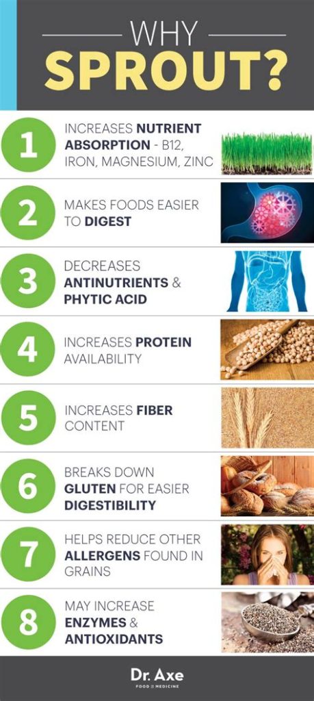 How To Check If Sprout Food Is Real