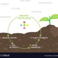 How To Identify Native Earth Nutrients