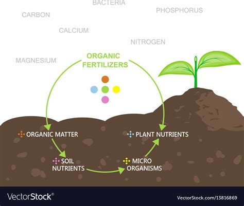 How To Identify Native Earth Nutrients