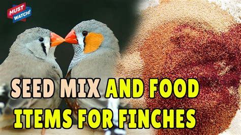 How To Identify Sunseed Finch Mix