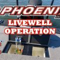 How To Spot Fake Phoenix Boat