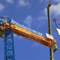 How To Spot Fake Raimondi Crane