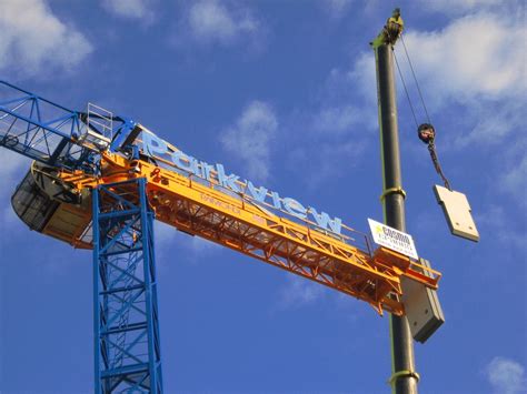 How To Spot Fake Raimondi Crane