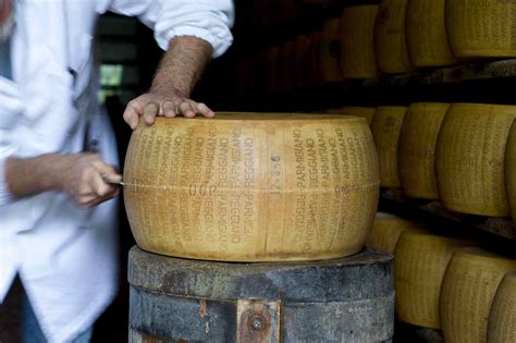 Identifying Fake Parmesan In Grated Forms