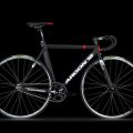 Is My Argon Bike Authentic