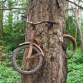 Is My Tree Bike Authentic