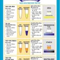 Testing Milk At Home For Adulteration