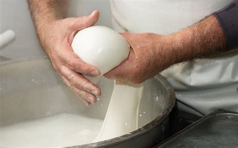 Mozzarella Production