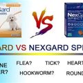 Real Vs Fake Nexgard Chewable Tablets