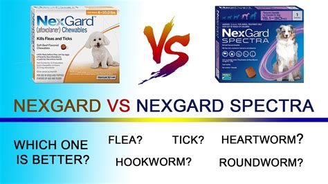 Real Vs Fake Nexgard Chewable Tablets