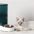 Real Vs Fake PetKit Pet Feeder Guide