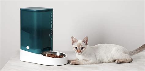 Real Vs Fake PetKit Pet Feeder Guide