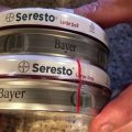 Real Vs Fake Seresto Flea Collar