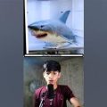 Real Vs Fake Shark RV Guide