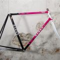 Verify Basso Frame Authenticity