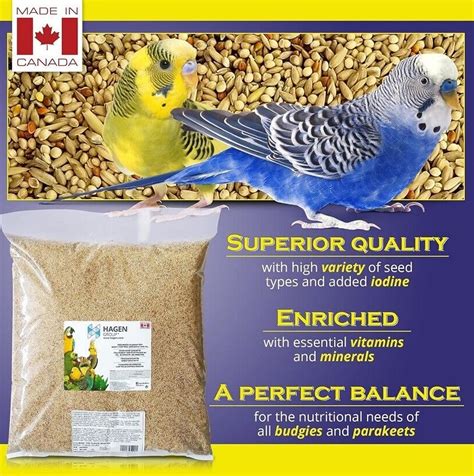 Verify Genuine Hagen Budgie Mix