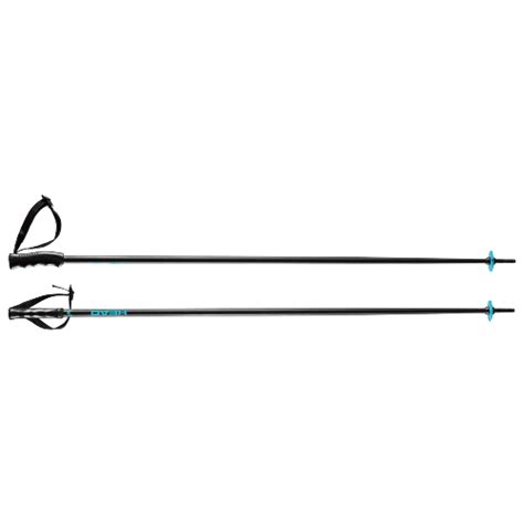 Verify Head Ski Poles Authenticity