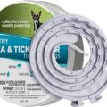 Ways To Spot Fake Sentry Flea Collar