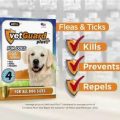 Ways To Spot Fake VetGuard Plus