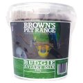 Ways To Verify Browns Budgie Mix