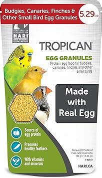 Ways To Verify Tropican Canary Food