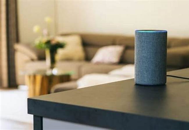 Amazon Echo Security