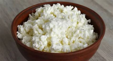 Cottage Cheese Adulteration