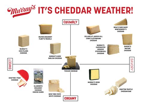 Different types of cheddar cheese